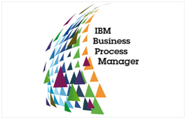 IBM Business Partner